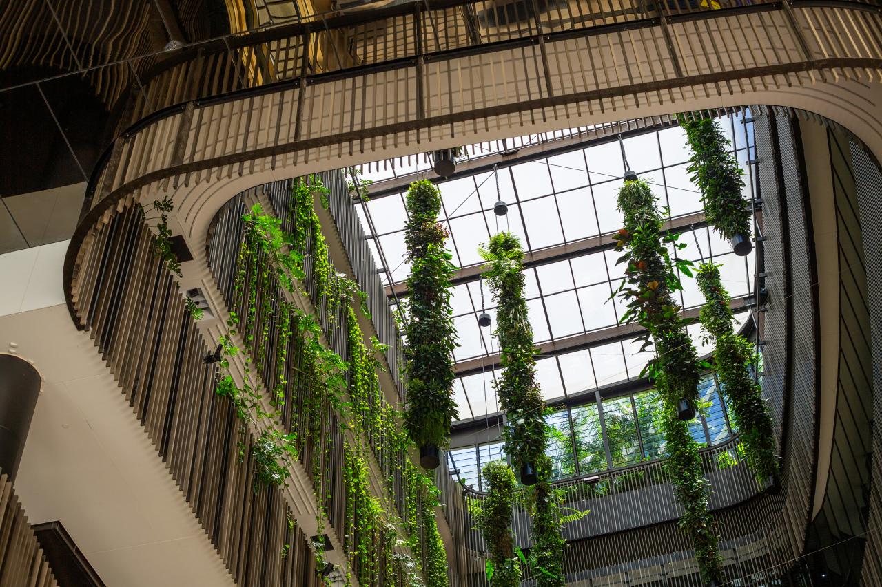 Atrium interior dengan tanaman gantung dan skylight